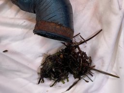 EN